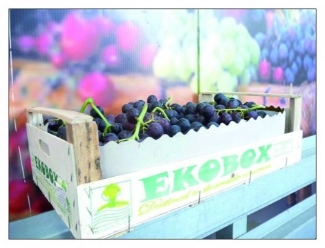 EKOBOX destined to eco-friendly consumers